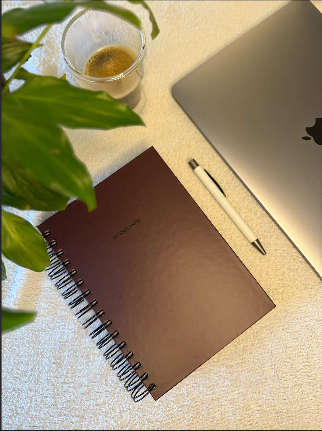 BossBloom - Équilibre