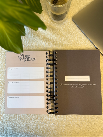 BossBloom - Équilibre