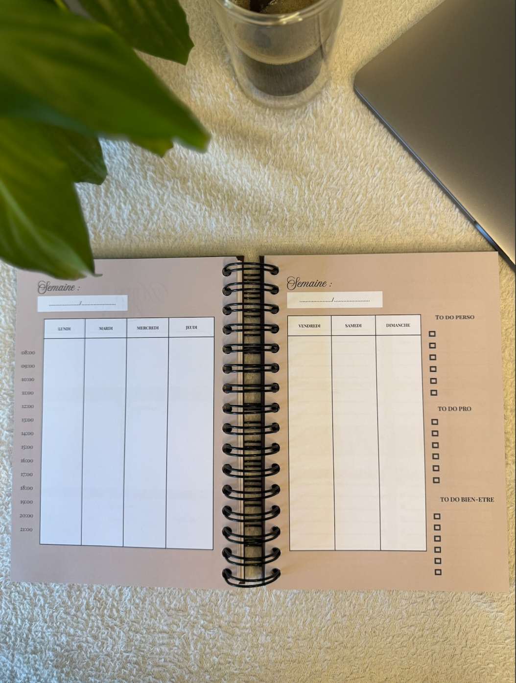 BossBloom - Équilibre