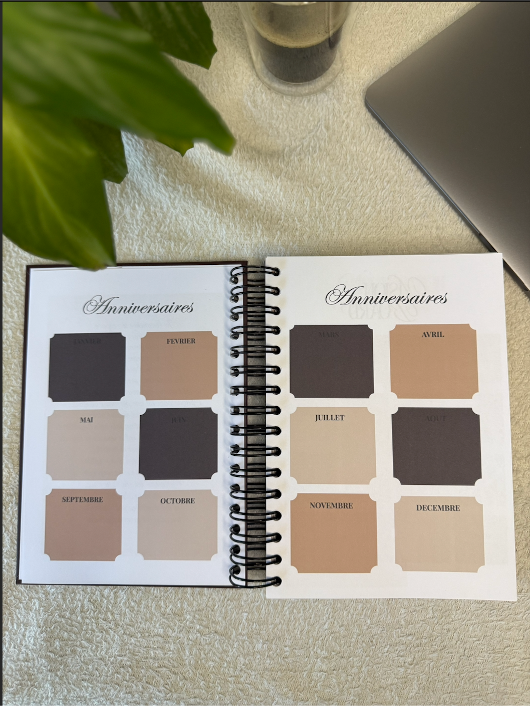 BossBloom - Équilibre