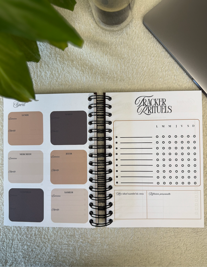 BossBloom - Équilibre