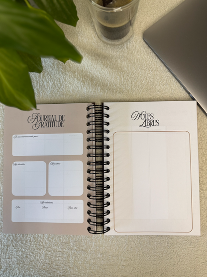 BossBloom - Équilibre