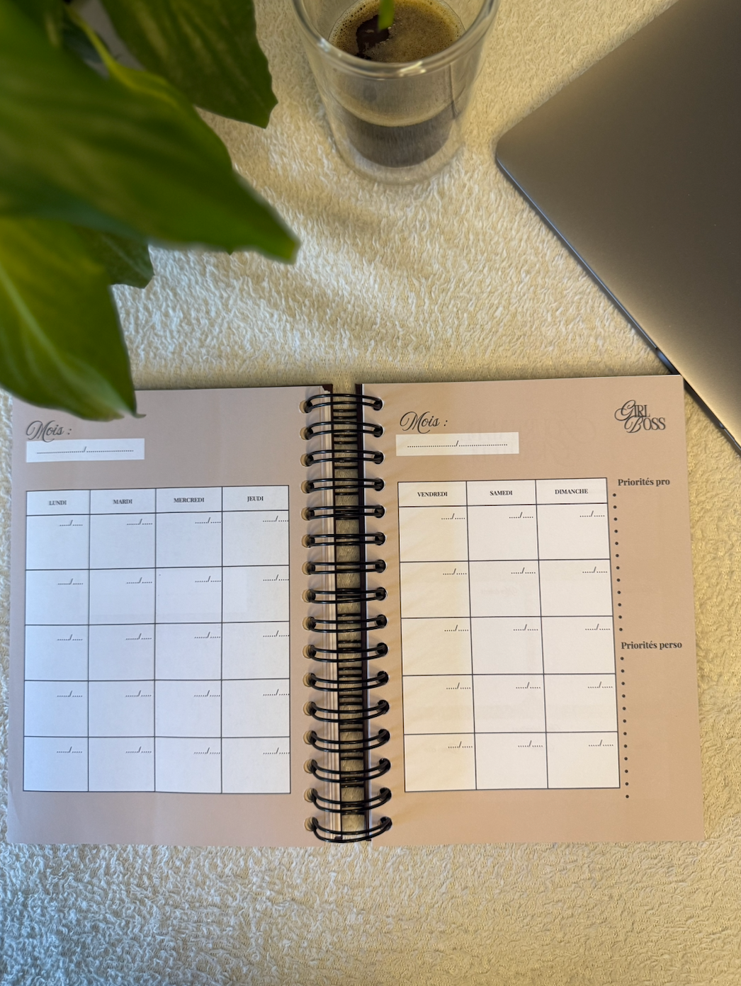 BossBloom - Équilibre